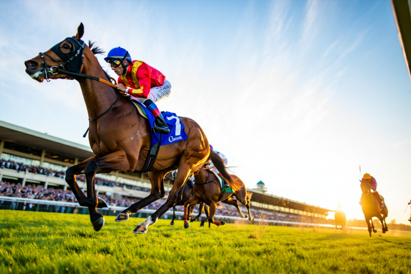 38d1d41d994d39f83a17f3b3495f7747