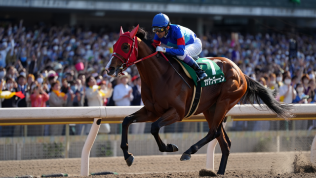 3a880a10d755e5263b74c9bec5eabe26