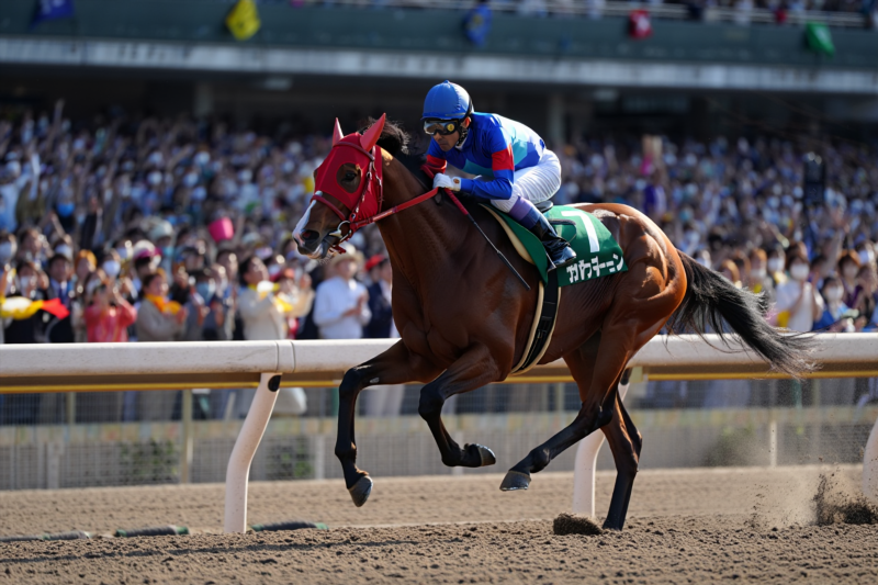 3a880a10d755e5263b74c9bec5eabe26