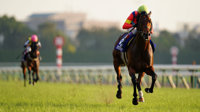 6b9aceae3e7bc3c404585e42be54a9b5