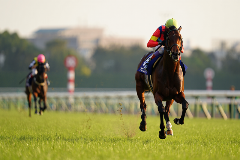 6b9aceae3e7bc3c404585e42be54a9b5