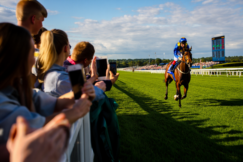 a00590d572e9aed36709ea086017f0d5