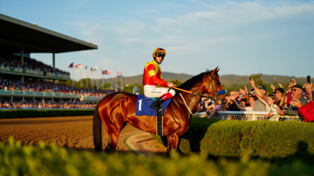 c29ed0619c5424dfe25b16776d327ace