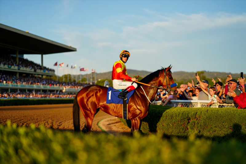 c29ed0619c5424dfe25b16776d327ace