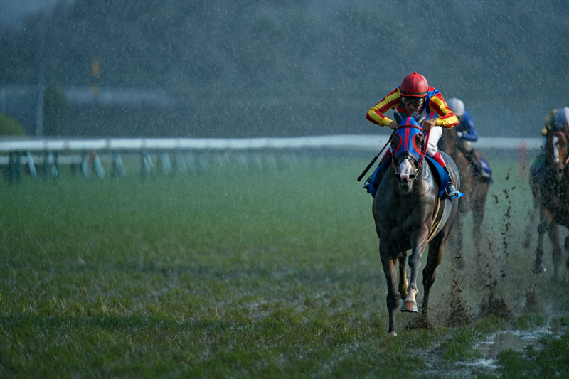 d062972b158bc9ecba2d88ce7dab7615