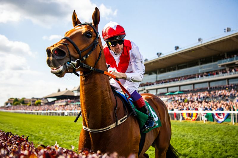 dc747bd3a02440ff7739d2465e530a98